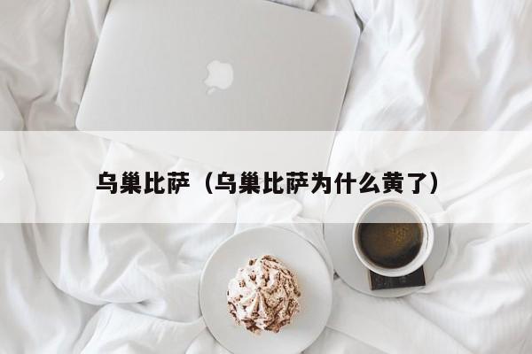 乌巢比萨（乌巢比萨为什么黄了）