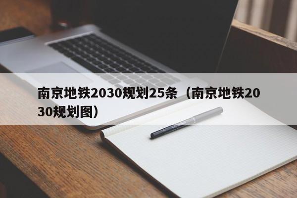 南京地铁2030规划25条（南京地铁2030规划图）