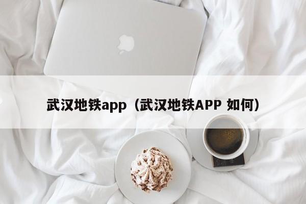 武汉地铁app（武汉地铁APP 如何）