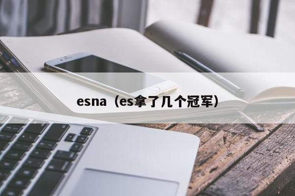 esna（es拿了几个冠军）