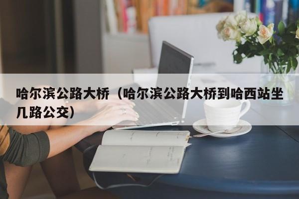 哈尔滨公路大桥（哈尔滨公路大桥到哈西站坐几路公交）