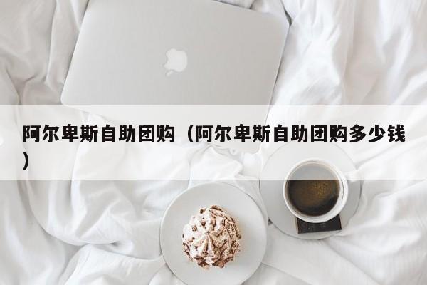 阿尔卑斯自助团购（阿尔卑斯自助团购多少钱）