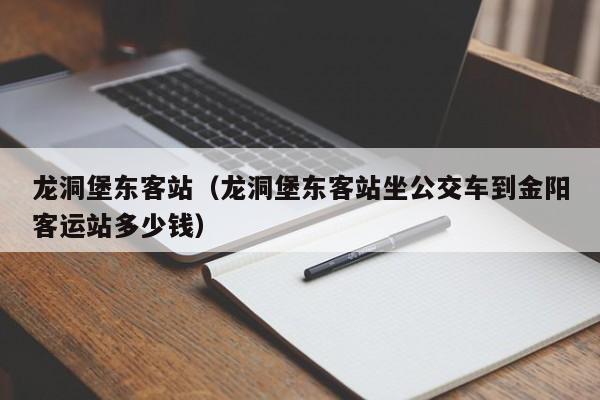 龙洞堡东客站（龙洞堡东客站坐公交车到金阳客运站多少钱）