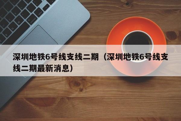 深圳地铁6号线支线二期（深圳地铁6号线支线二期最新消息）